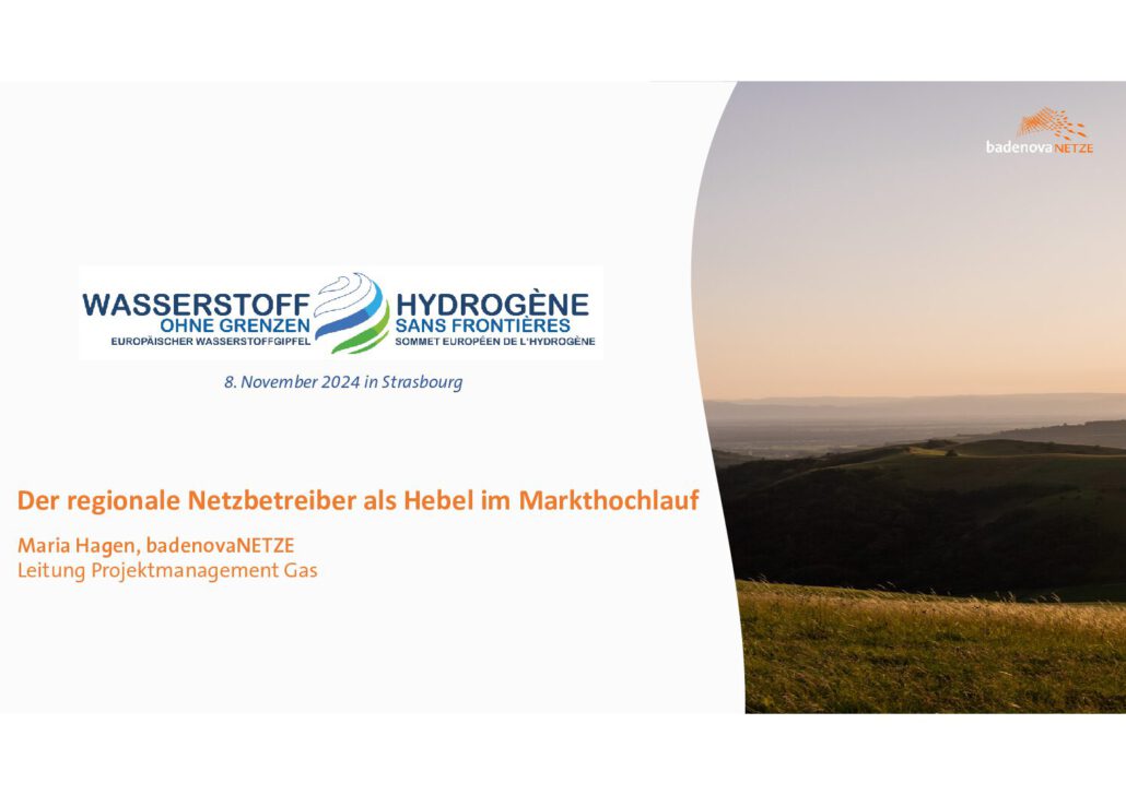 badenovaNETZE | Der regionale Netzbetreiber als Hebel im Markthochlauf: Cluster und Netzbauprojekte im Dreiländereck